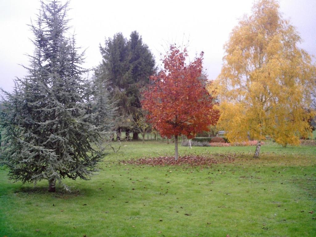 Au Jardin Fleuri Villa Vauxaillon Bagian luar foto