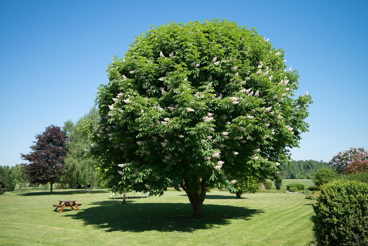 Au Jardin Fleuri Villa Vauxaillon Bagian luar foto