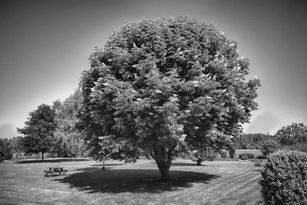Au Jardin Fleuri Villa Vauxaillon Bagian luar foto